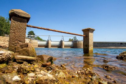 La sequía deja una estampa dramática en el embalse de la Cuerda del Pozo - MARIO TEJEDOR (15)