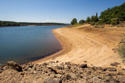 La sequía deja una estampa dramática en el embalse de la Cuerda del Pozo - MARIO TEJEDOR (17)