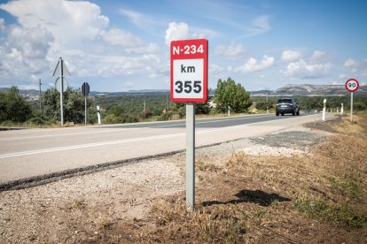 Lugar del atropello en la N-234 en la madrugada de este 11 de junio de 2023.-GONZALO MONTESEGURO
