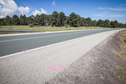 Lugar del atropello en la N-234 en la madrugada de este 11 de junio de 2023.-GONZALO MONTESEGURO