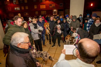 Bendición de mascotas por San Antón. MARIO TEJEDOR (1)