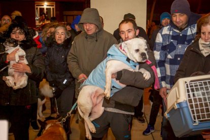 Bendición de mascotas por San Antón. MARIO TEJEDOR (3)