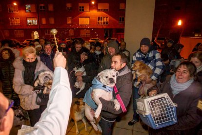 Bendición de mascotas por San Antón. MARIO TEJEDOR (5)