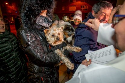 Bendición de mascotas por San Antón. MARIO TEJEDOR (9)