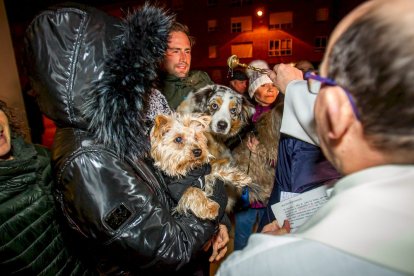 Bendición de mascotas por San Antón. MARIO TEJEDOR (10)