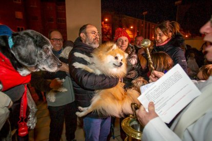 Bendición de mascotas por San Antón. MARIO TEJEDOR (14)