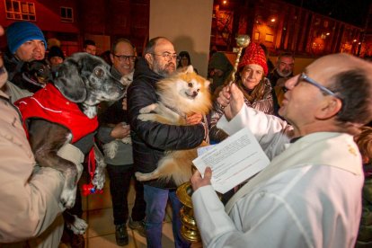 Bendición de mascotas por San Antón. MARIO TEJEDOR (15)