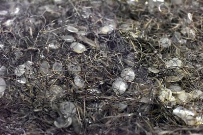 Gafas de los prisioneros asesinados en Auschwitz. PAWEL ULATOWSKI | REUTERS
