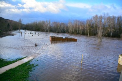 Rio Tera desbordado a su paso por Garray. SATUR LAFUENTE (8)