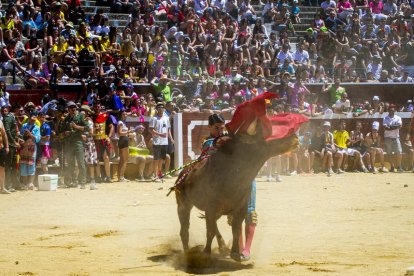 Viernes de Toros 2022 - MARIO TEJEDOR (13)_04