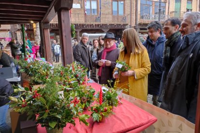 Feria de Berlanga.-T.C.