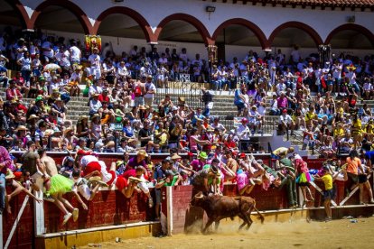 Viernes de Toros 2022 - MARIO TEJEDOR (1)_04