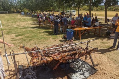 thumbnail_PHOTO-2022-08-27-17-19-41