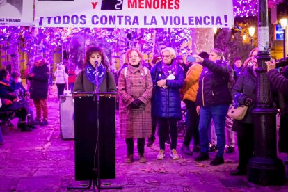 Manifestación del Día internacional para la eliminación de la violencia contra las mujeres. MARIO TEJEDOR (34)