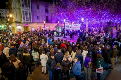Manifestación del Día internacional para la eliminación de la violencia contra las mujeres. MARIO TEJEDOR (40)