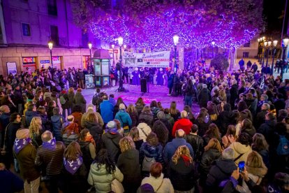 Manifestación del Día internacional para la eliminación de la violencia contra las mujeres. MARIO TEJEDOR (39)