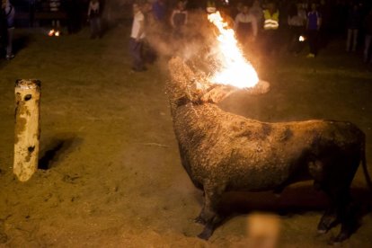 Imagen del Toro Jubilo de una edición anterior.-HDS
