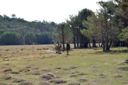 Inauguración de la feria forestal Cabforest en Cabrejas del Pinar, Soria. RAQUEL FERNÁNDEZ