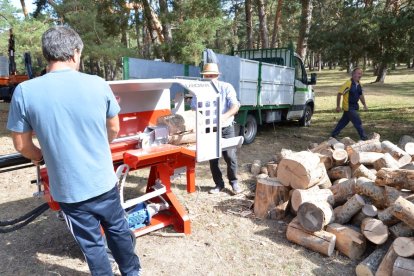 Inauguración de la feria forestal Cabforest en Cabrejas del Pinar, Soria. RAQUEL FERNÁNDEZ