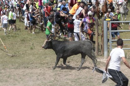 Saca 2022