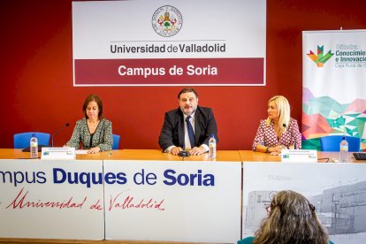 Premios Cátedra Caja Rural de Soria. MARIO TEJEDOR (1)