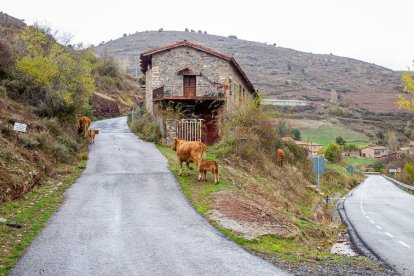 Montenegro de Cameros. MARIO TEJEDOR (1)
