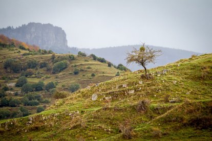 Montenegro de Cameros. MARIO TEJEDOR (10)