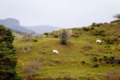 Montenegro de Cameros. MARIO TEJEDOR (12)