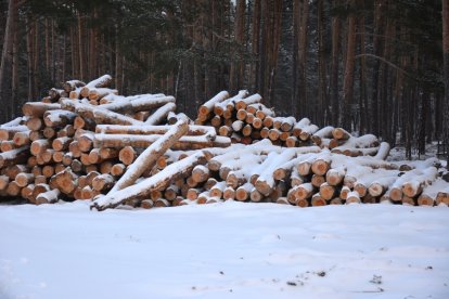 Nieve en Duruelo de la Sierra, Soria. HDS