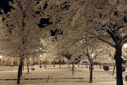 Las fotos de la Nieve en Soria. HDS