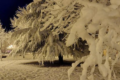Las fotos de la Nieve en Soria. HDS