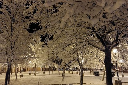 Las fotos de la Nieve en Soria. HDS