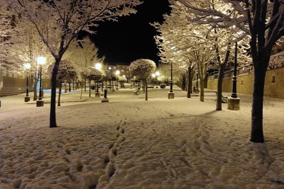 Las fotos de la Nieve en Soria. HDS