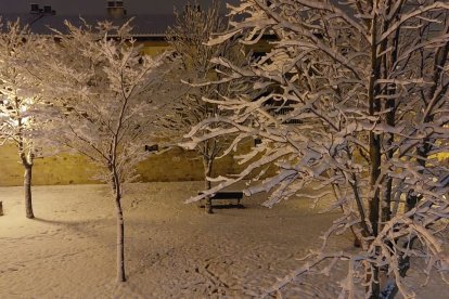 Las fotos de la Nieve en Soria. HDS