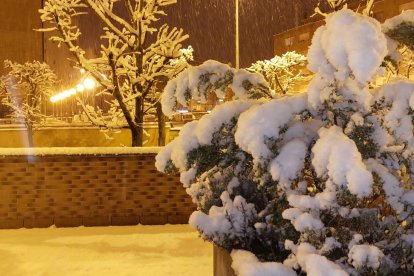 Las fotos de la Nieve en Soria. HDS