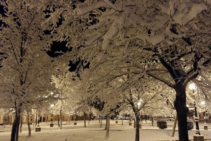 Las fotos de la Nieve en Soria. HDS