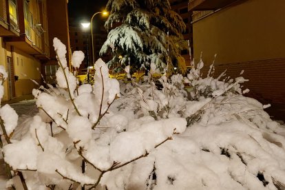 Las fotos de la Nieve en Soria. HDS