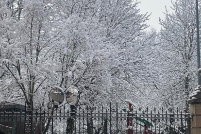 Las fotos de la Nieve en Soria. HDS