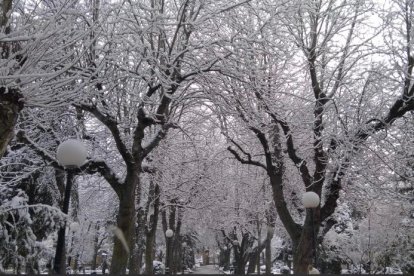 Las fotos de la Nieve en Soria. HDS
