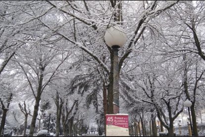 Las fotos de la Nieve en Soria. HDS