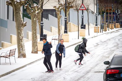 El invierno deja su primera nevada.-MARIO TEJEDOR