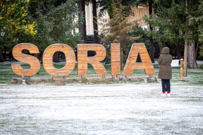 El invierno deja su primera nevada. MARIO TEJEDOR (52)