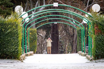 El invierno deja su primera nevada. MARIO TEJEDOR (53)