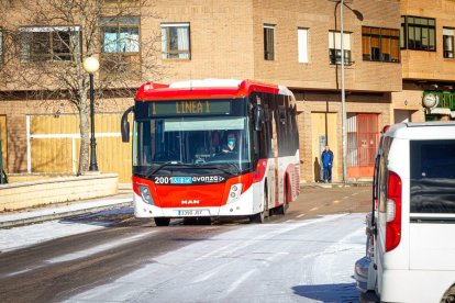 El invierno deja su primera nevada. MARIO TEJEDOR (38)