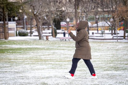 El invierno deja su primera nevada. MARIO TEJEDOR (51)