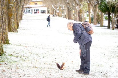 El invierno deja su primera nevada. MARIO TEJEDOR (4)