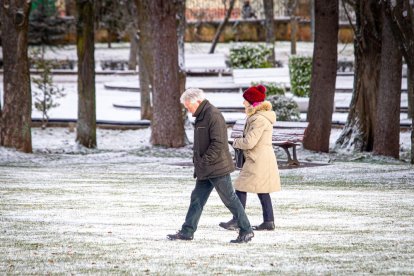 El invierno deja su primera nevada. MARIO TEJEDOR (12)