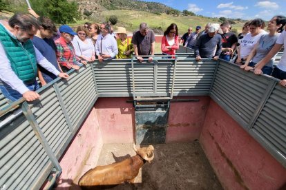 Los toros de San Juan 2022 en Soria