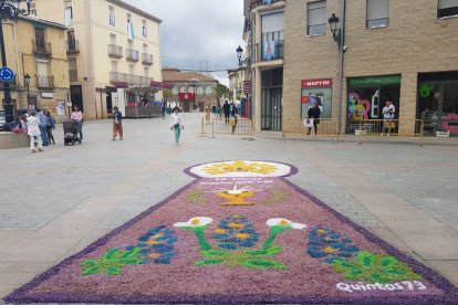 Alfombra floral en Ágreda.-HDS