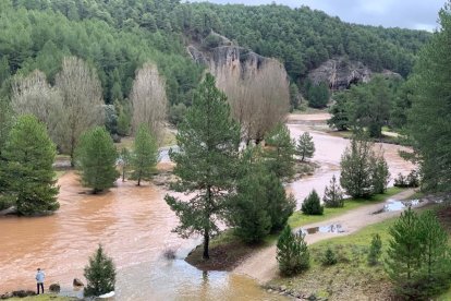 WhatsApp Image 2023-01-08 at 20.07.49 (2)